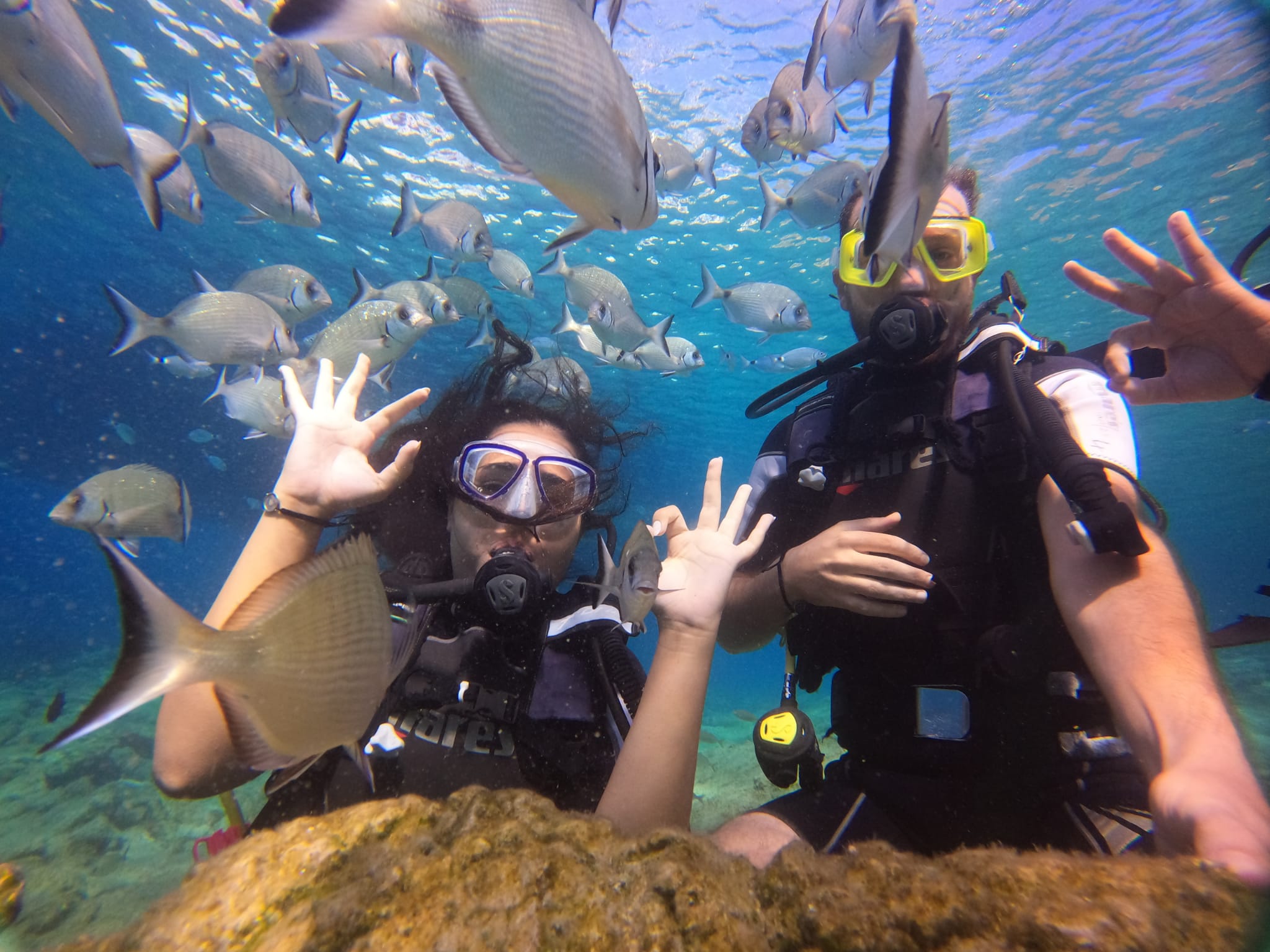 Bodrum diving