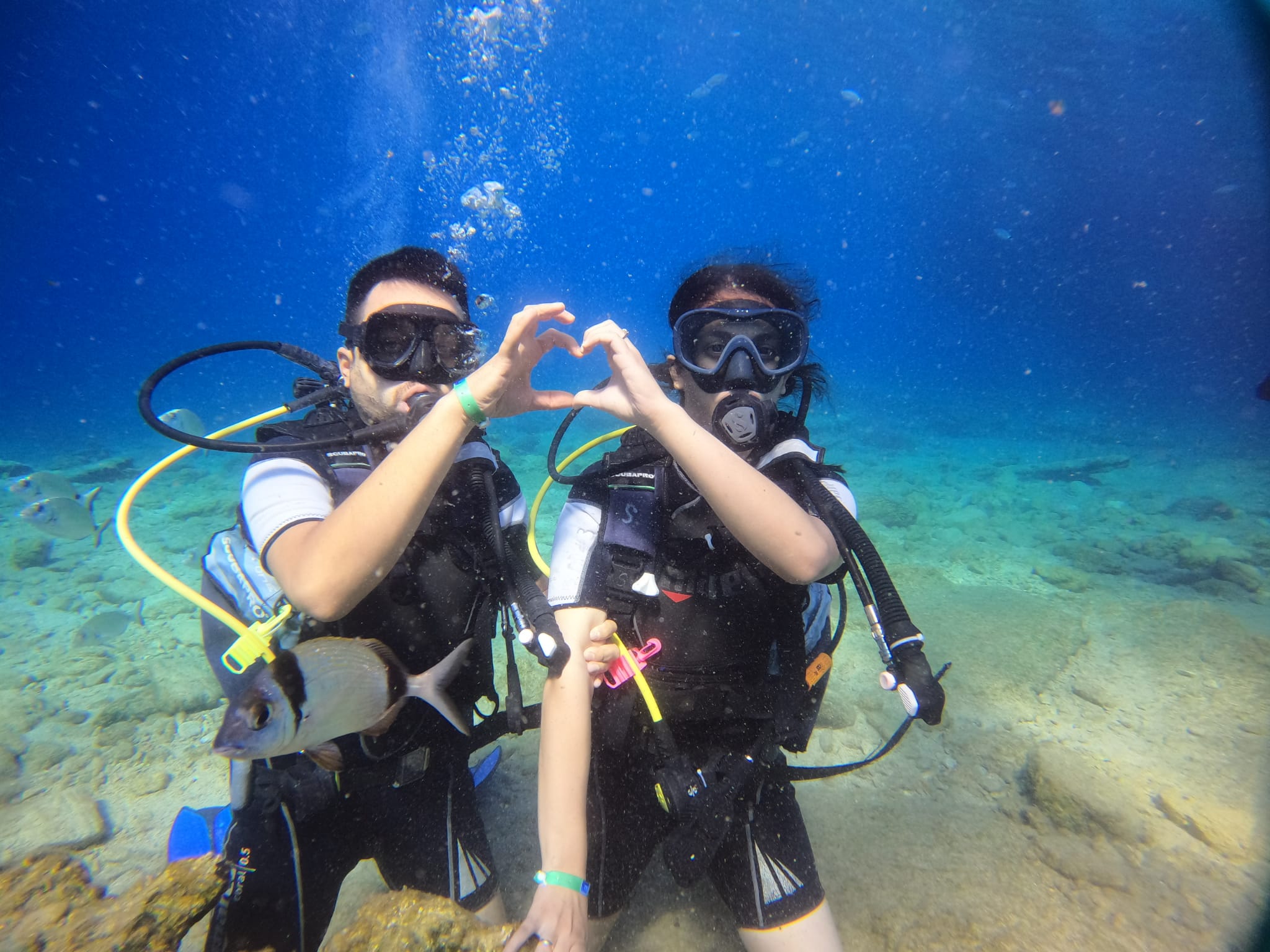 Bodrum scuba diving tour