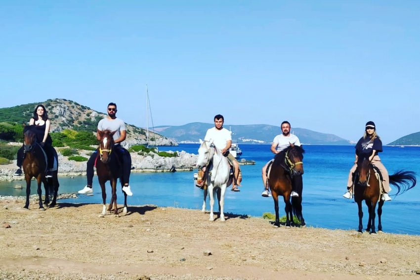 bodrum-horse-riding (1) Bodrum horse riding
