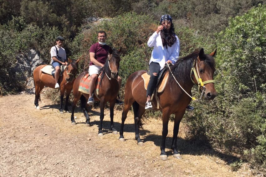 bodrum-horse-riding (3) Bodrum horseback riding