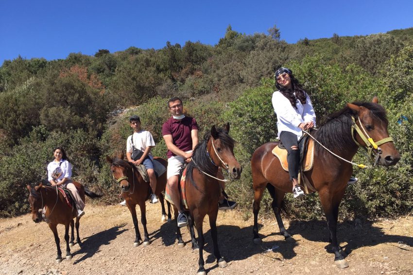 bodrum-horse-riding (4) Bodrum horse riding