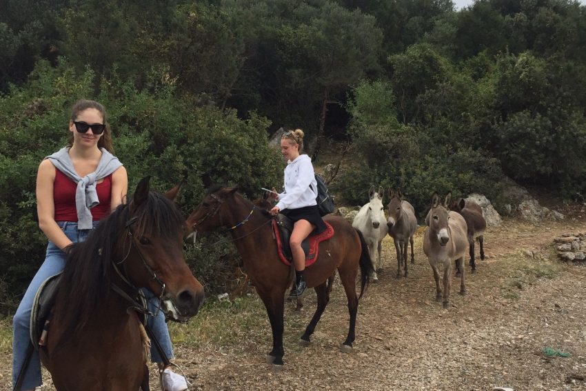 bodrum-horse-riding (5) Bodrum horseback riding