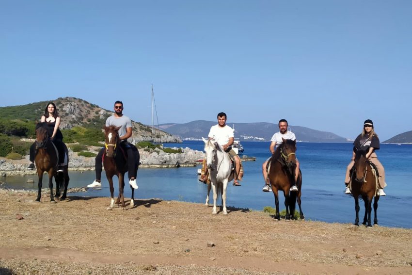 bodrum-horse-riding (6) Bodrum horse safari