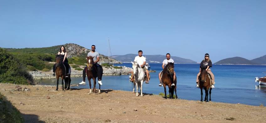 Bodrum horse safari