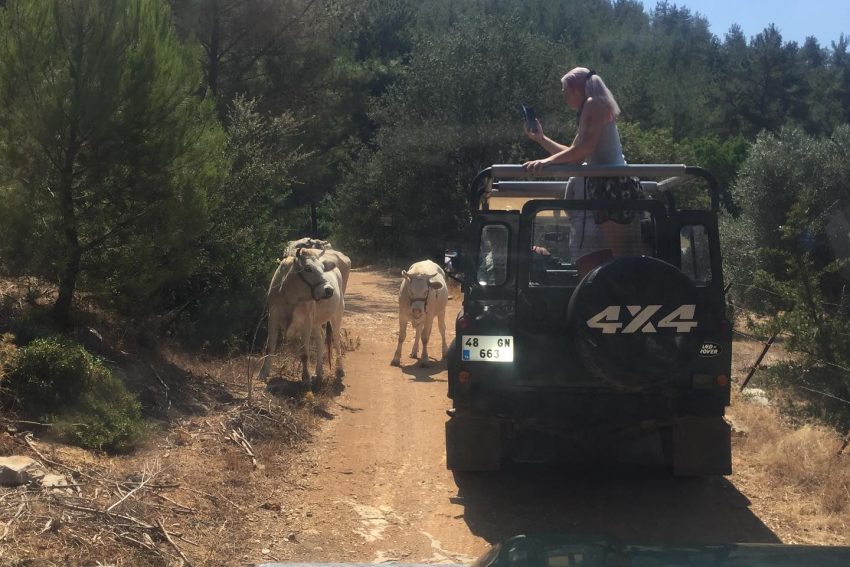 bodrum-jeep-safari (7)