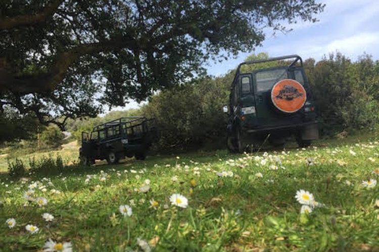 bodrum-jeep-safari (8)